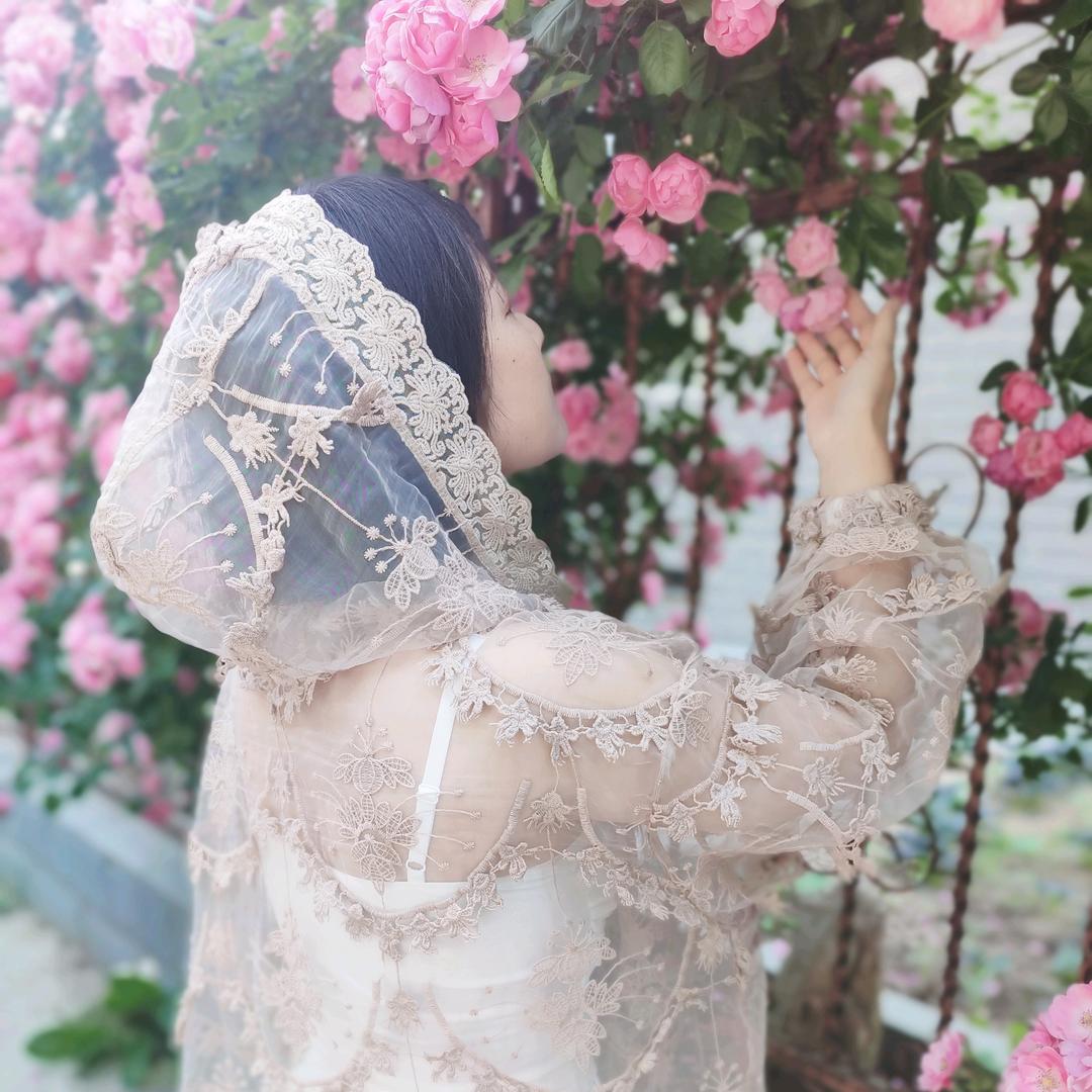 🌸Dan