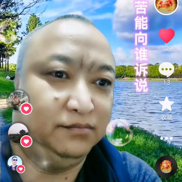 青青河边草。出售鹦鹉