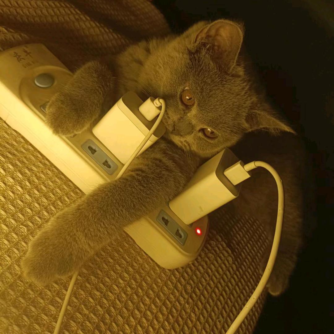 蓝猫淘气三千问