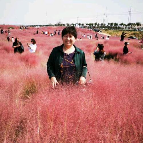 ✧*｡٩(ˊᗜˋ*)و✧*｡