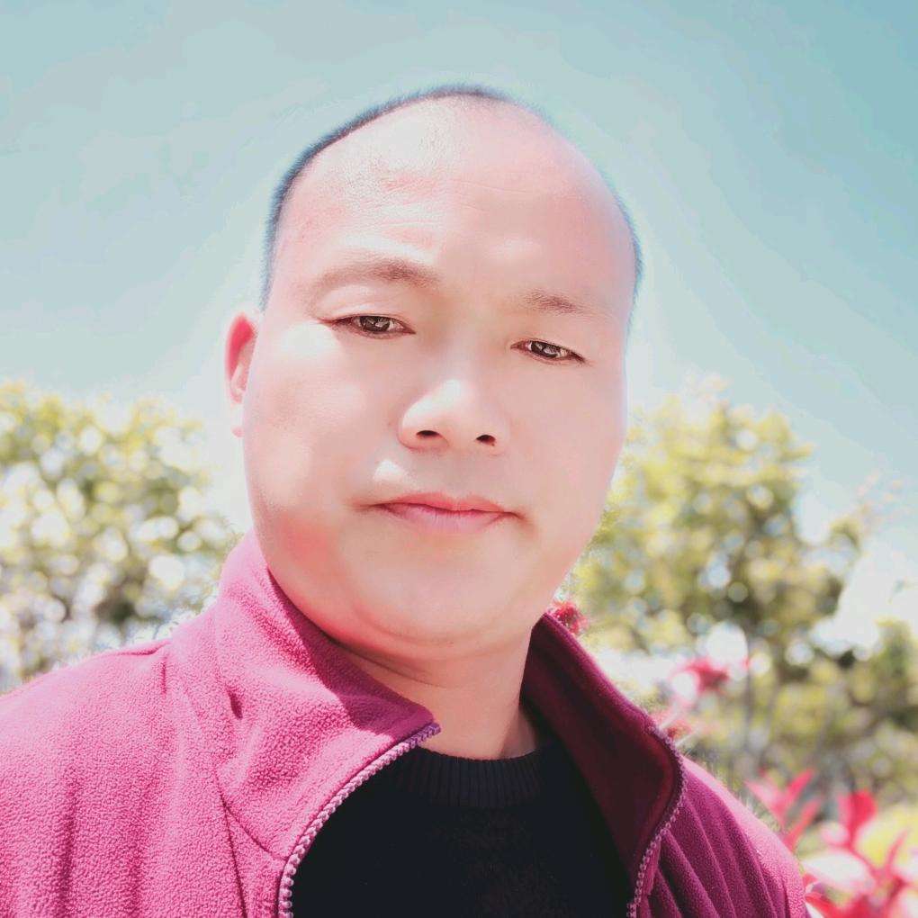 临泉货车哥…孟飞