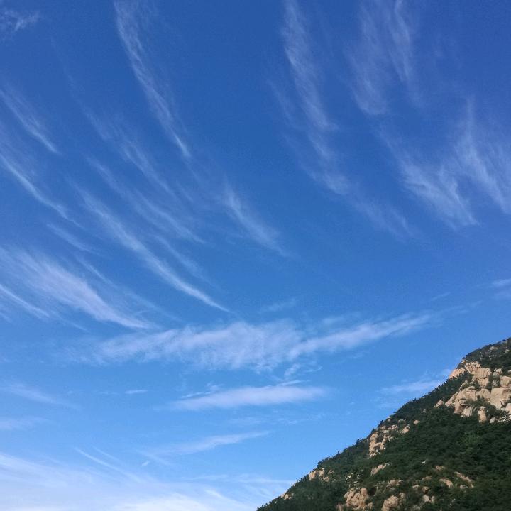 情义无价521