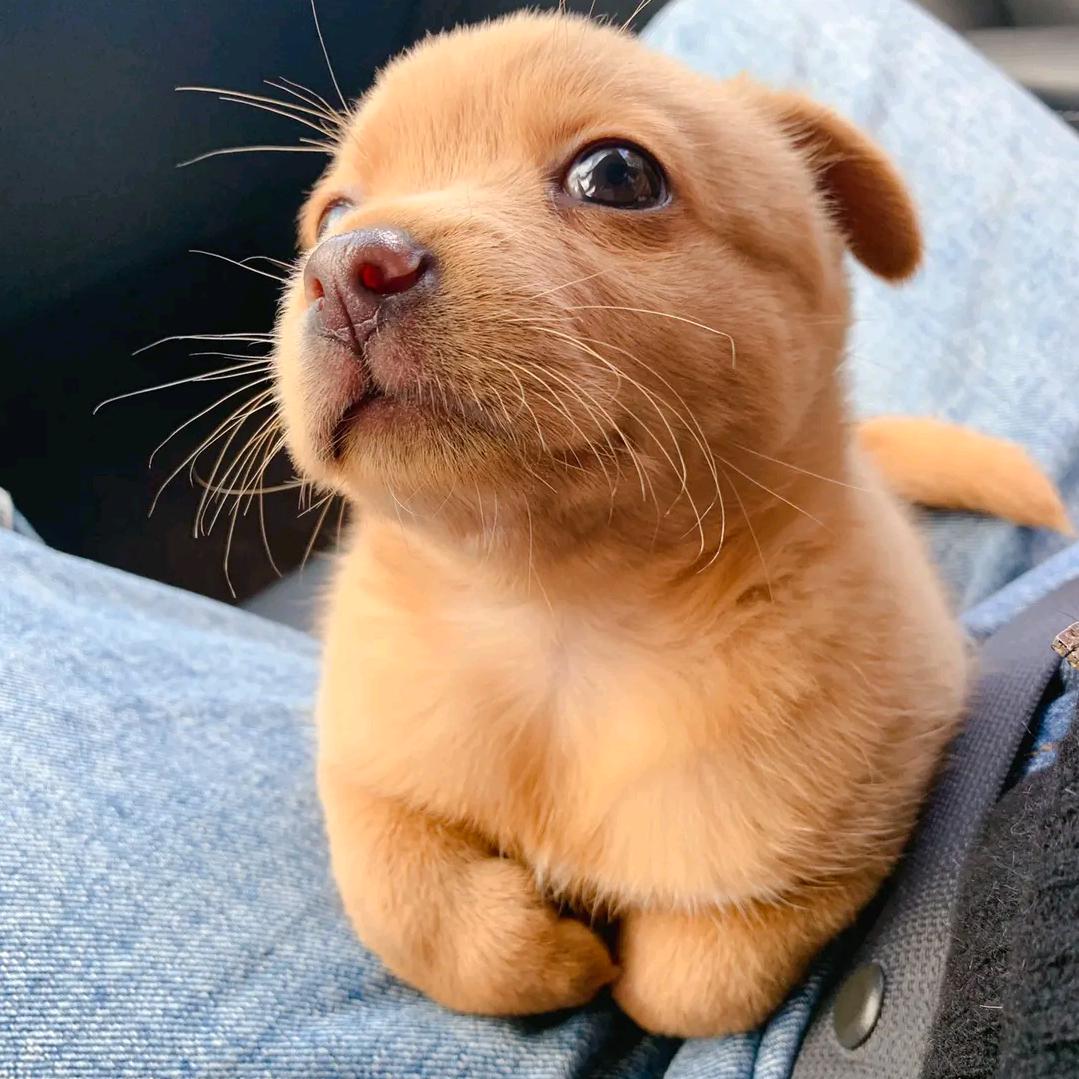 🌈🌈🌈🌈阿福呦