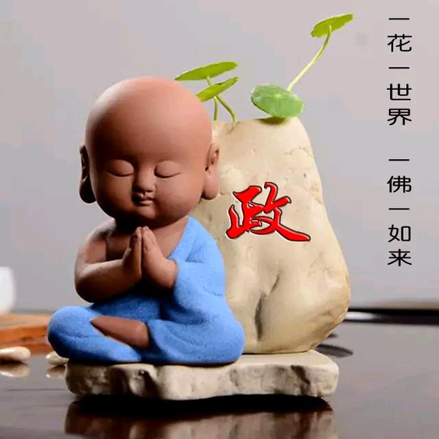 政知道@