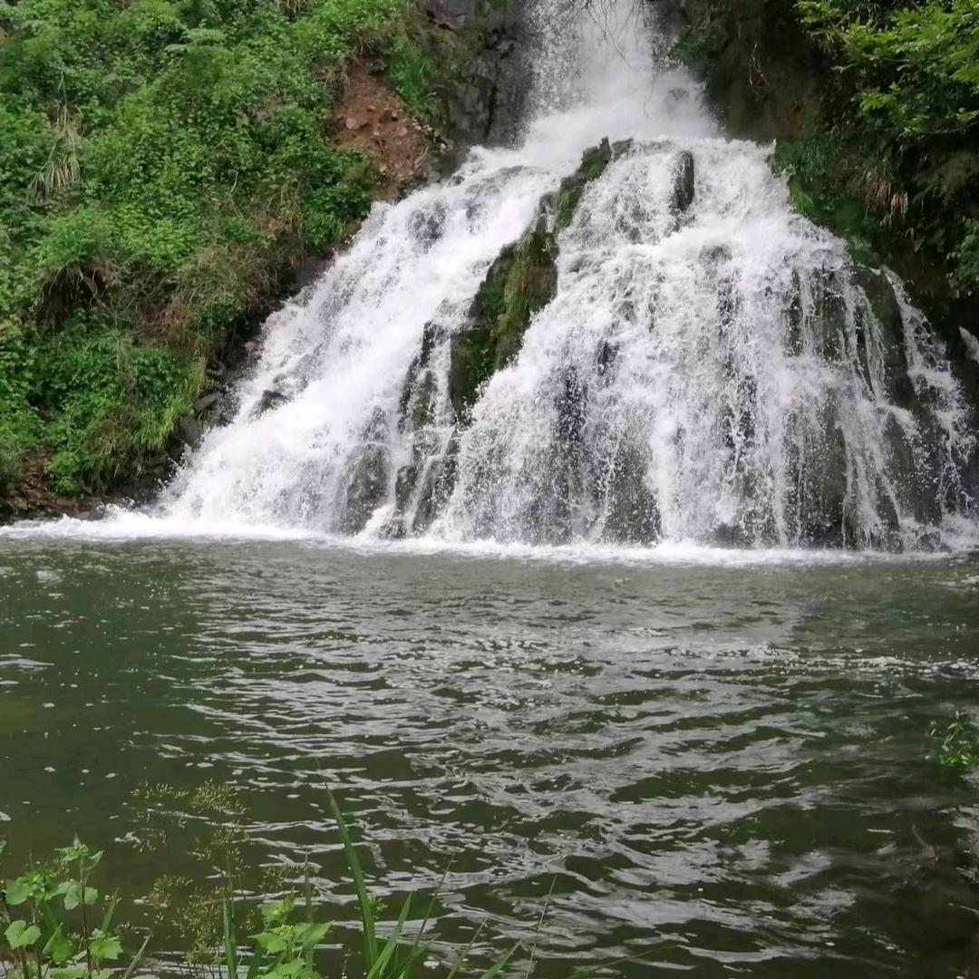 逍遥客