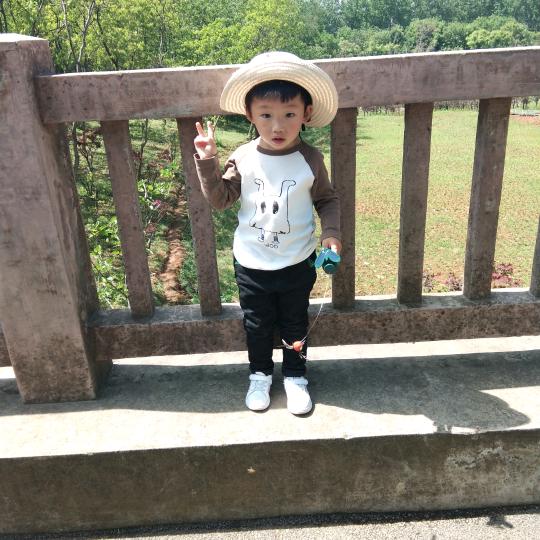 李向珍