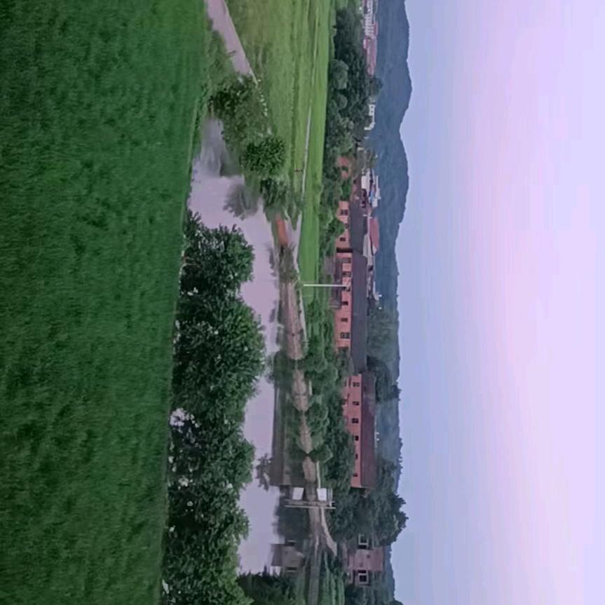 两情湘粤