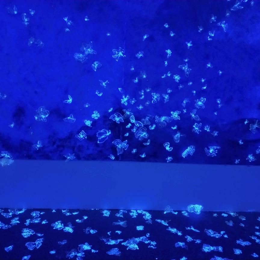 ✨壹吕💫阳光☔️