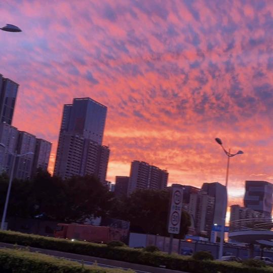 你不要过来鸭…