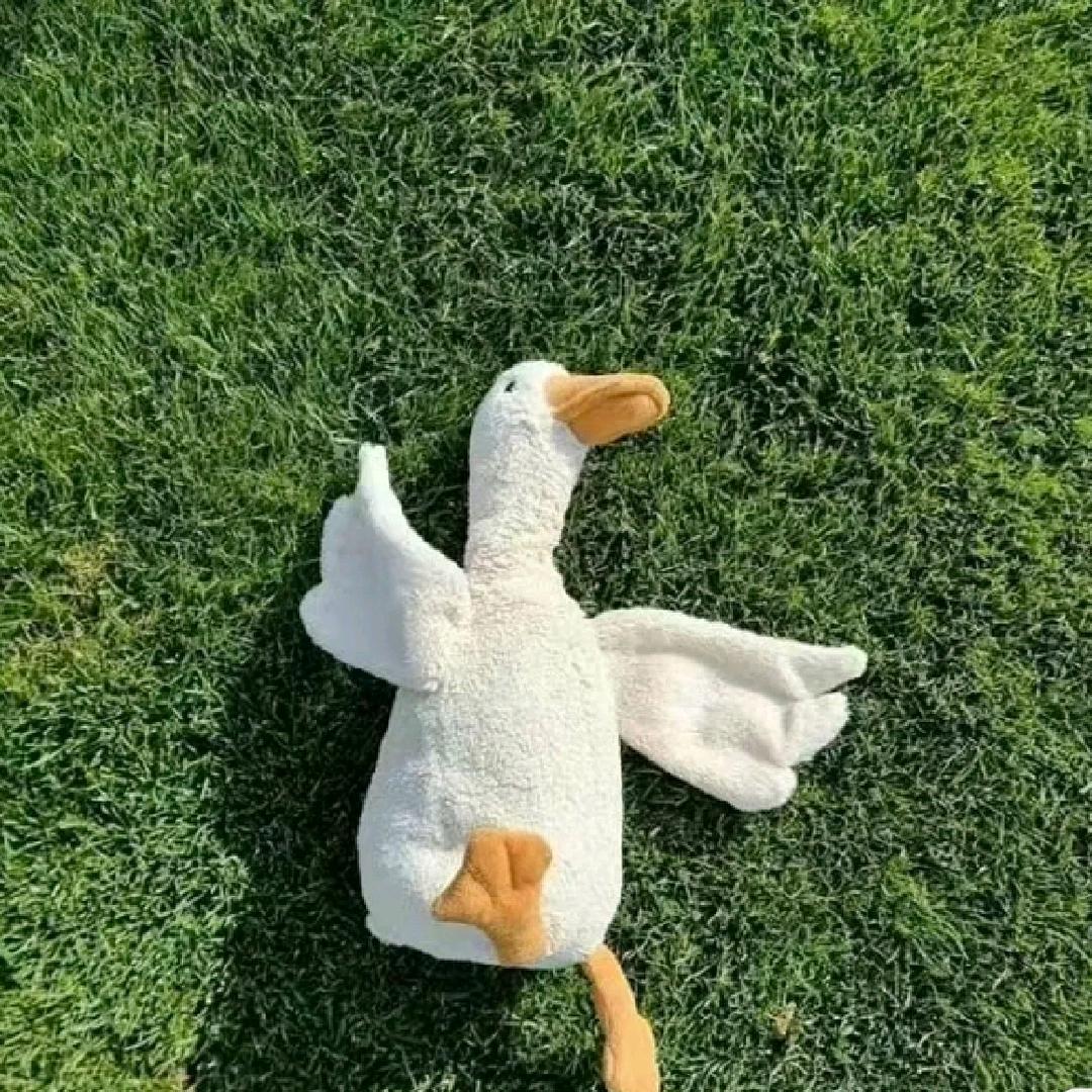 哈哈推文