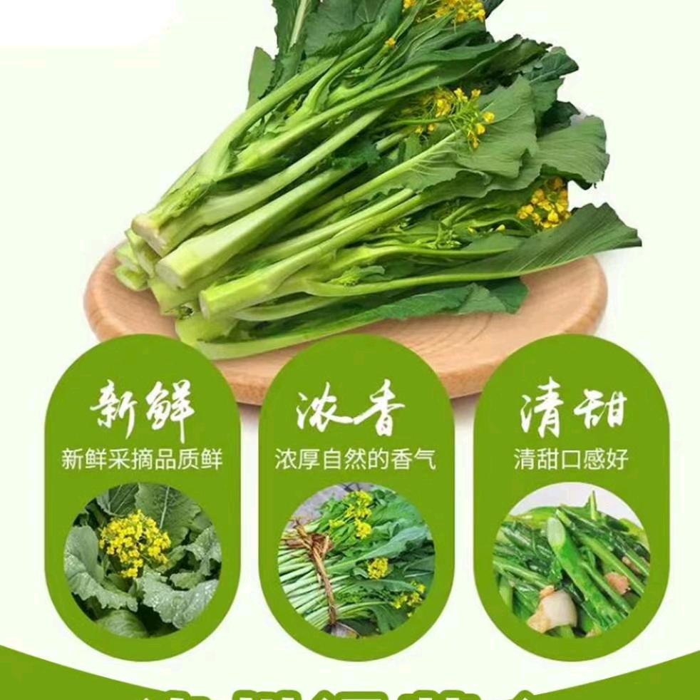 桃梨满北