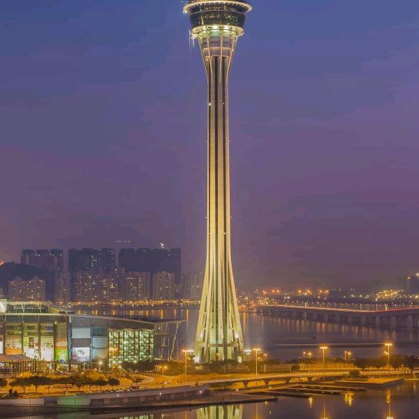 🐉⊙ω⊙金⊙ω⊙🐉