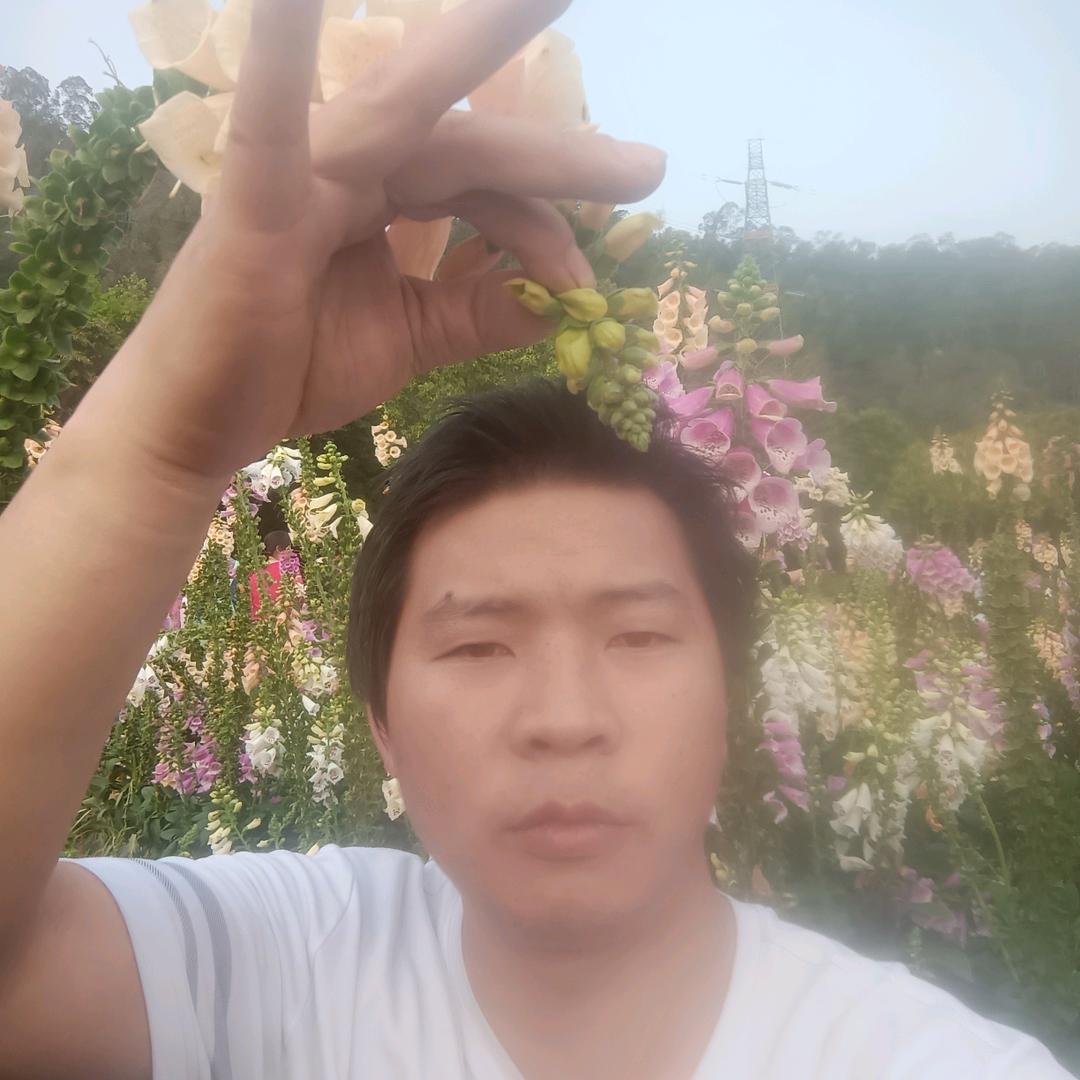 王后余生