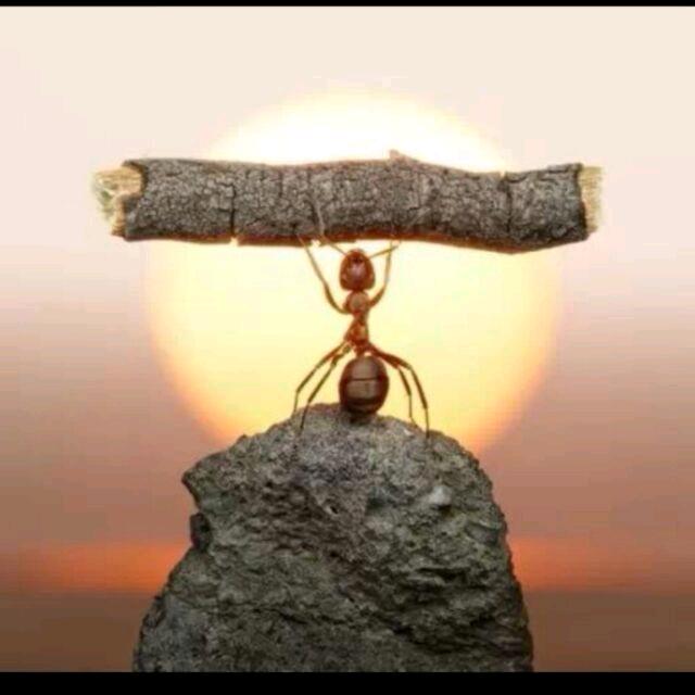 瑜锘服装工作室