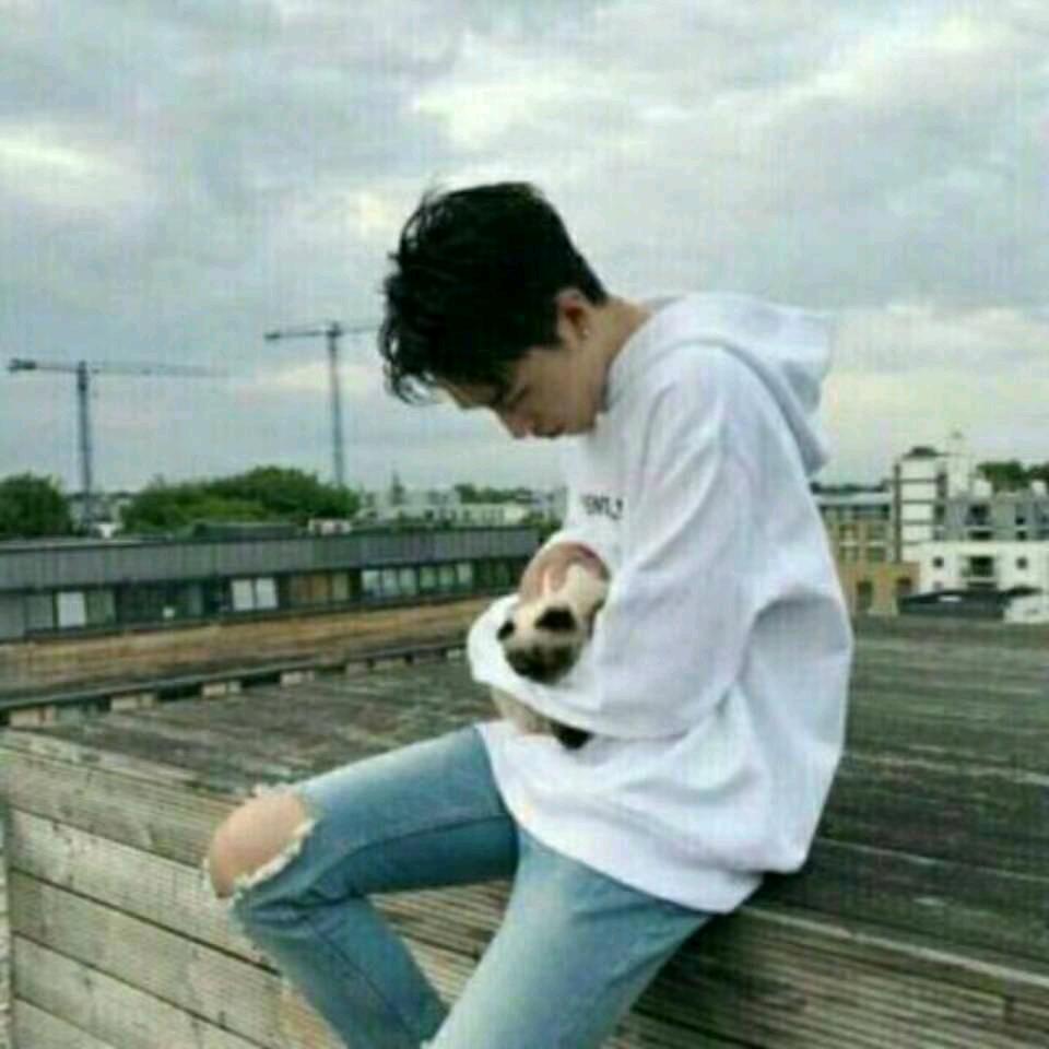 贺辰轩的视频号