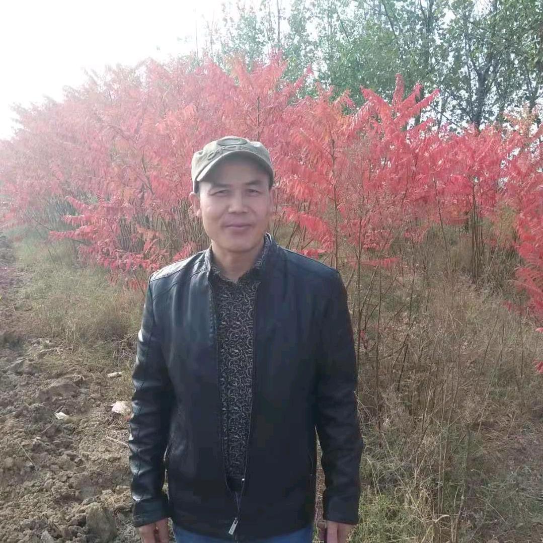 四海为家