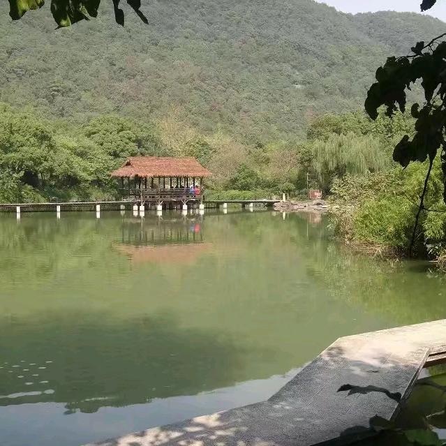 @乡村强哥（原创）