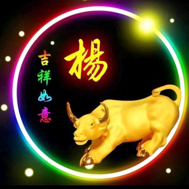 向日葵的微笑，8515