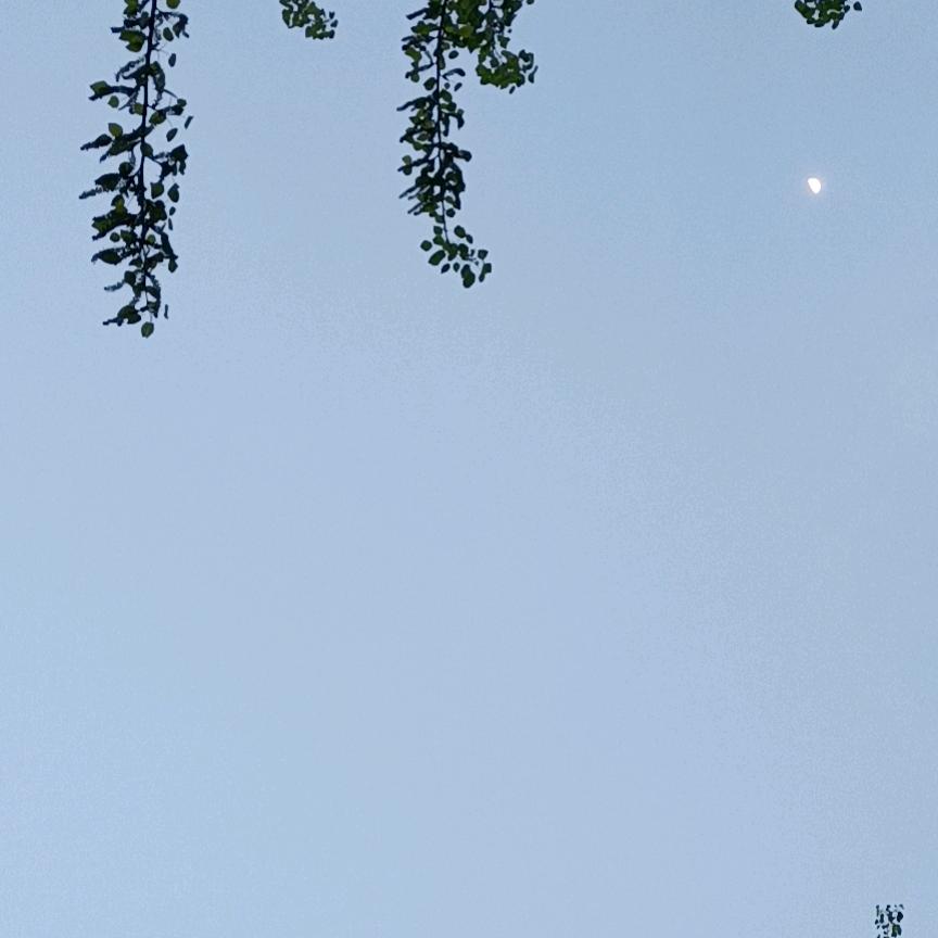 郭耘祯