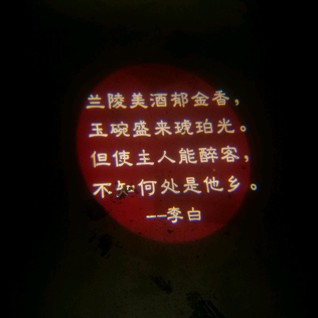 涛涛