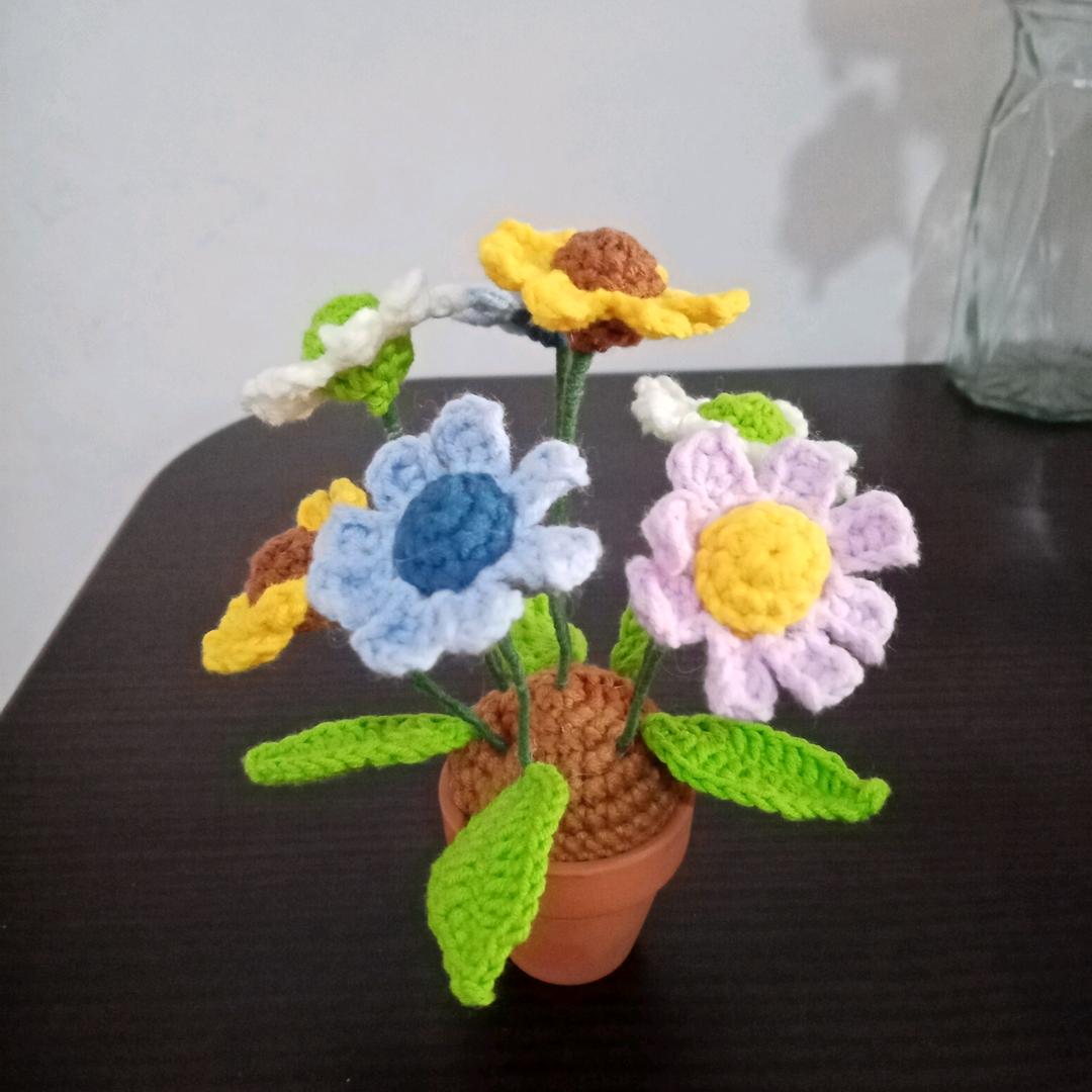 风铃花