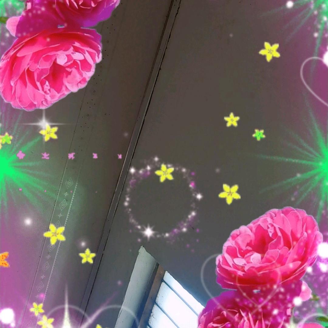 常存感恩
