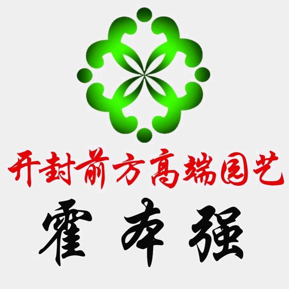 菊花展、绿雕制作源头厂家 前方园艺