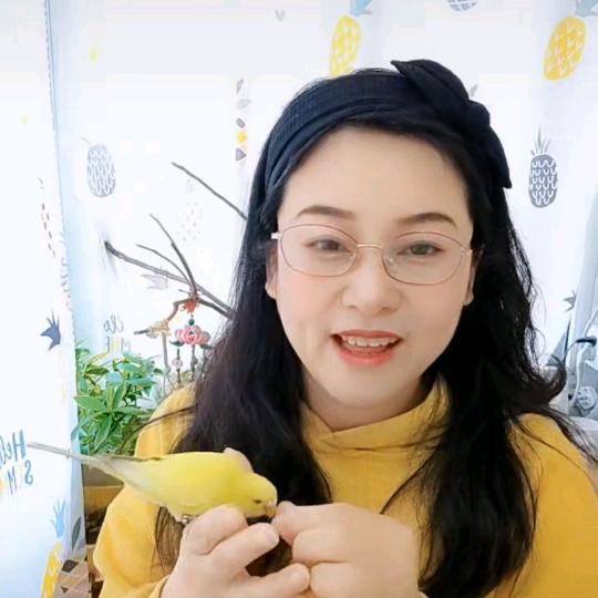 小燕子。