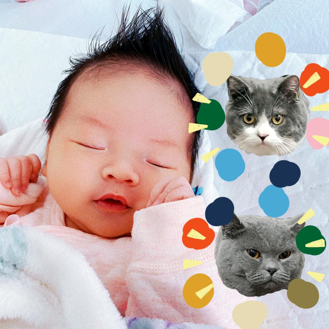 小宇虾子