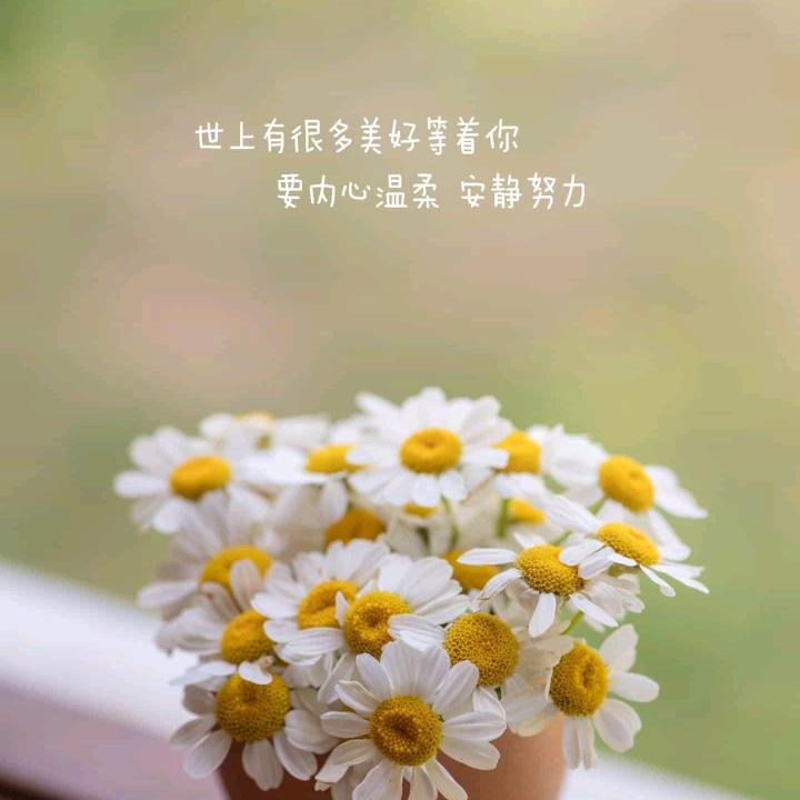财袁滚滚来🍀🍀🌈🌈