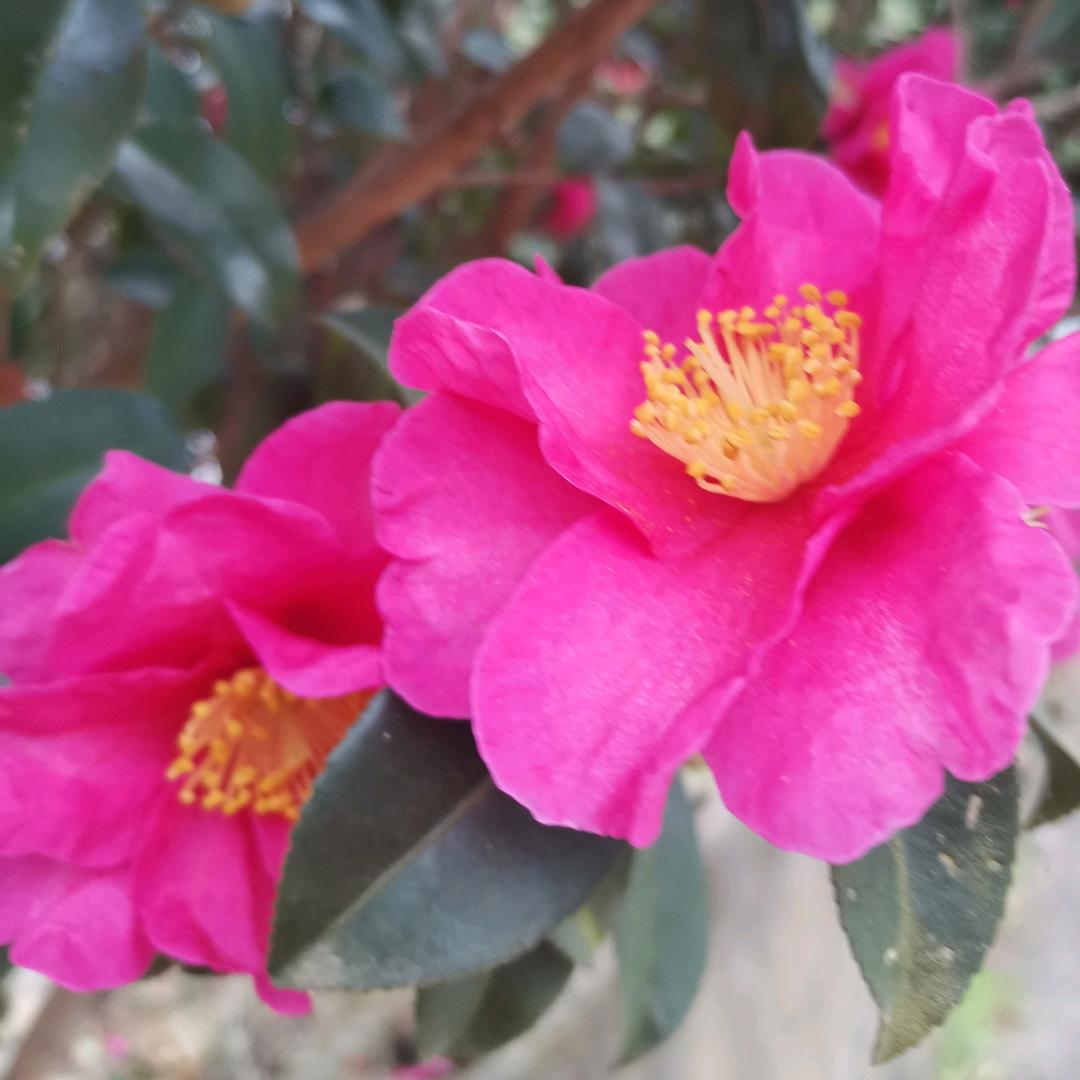 天黑路太滑人心太复杂