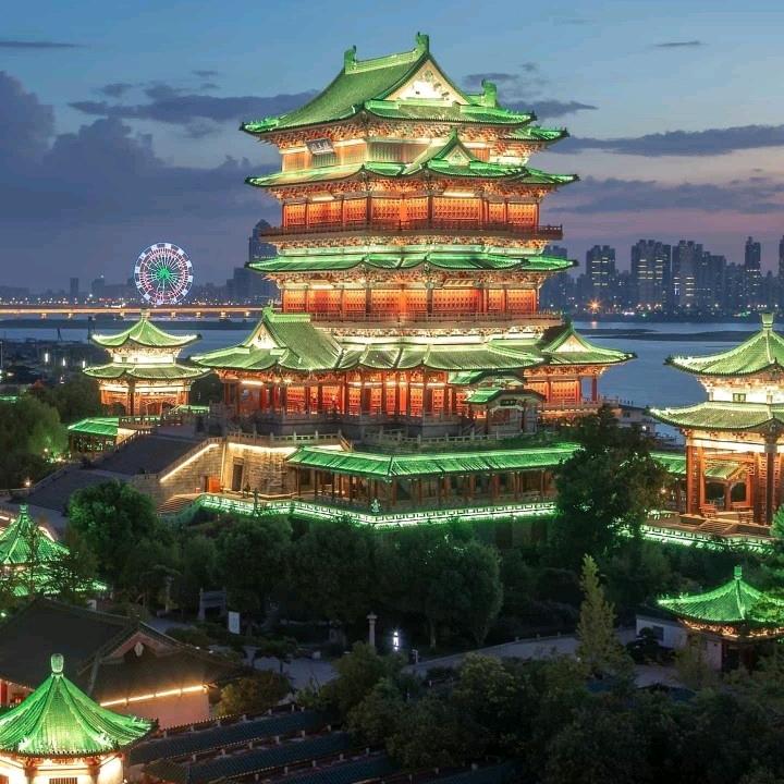 我的粉丝
