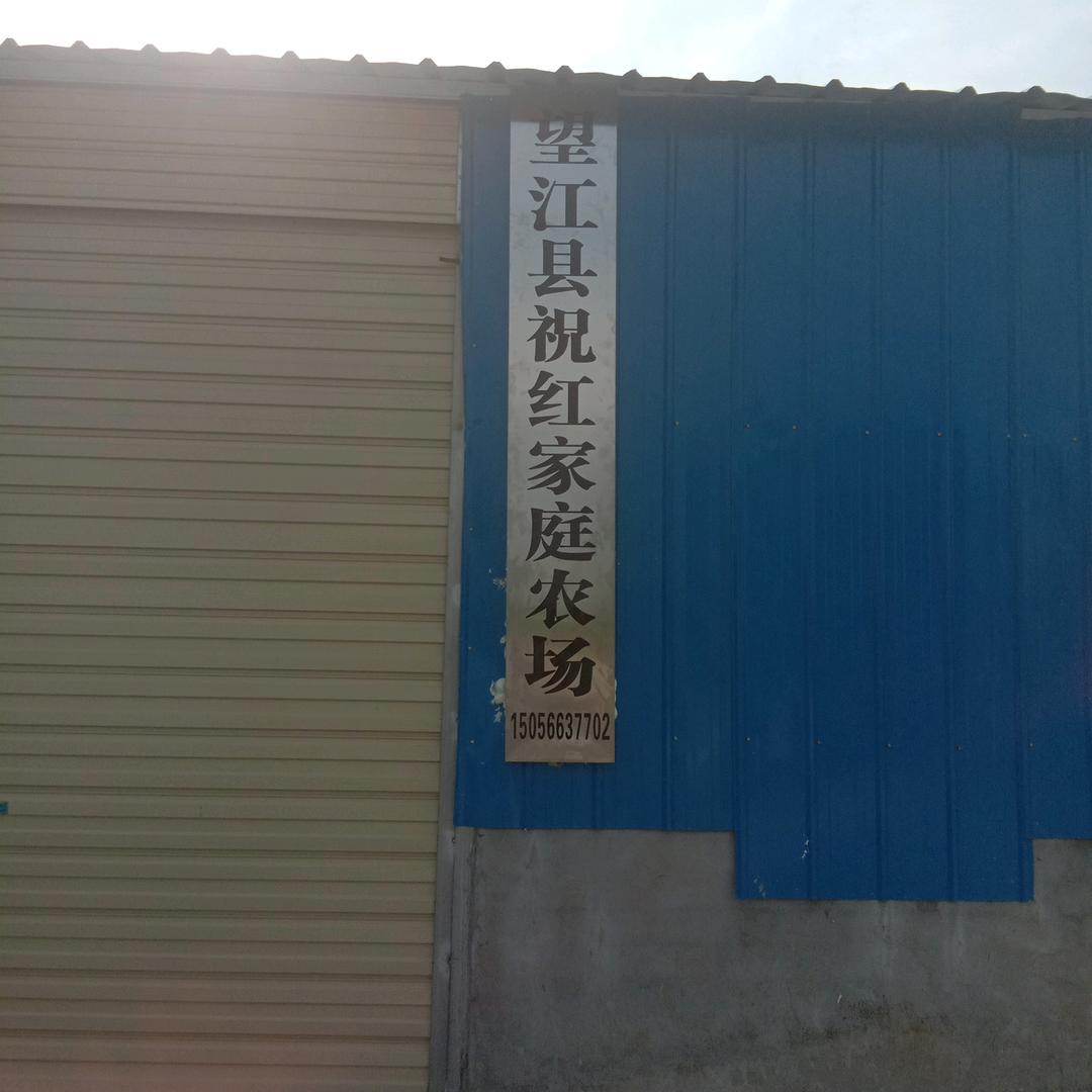 望江县祝红家庭农场。