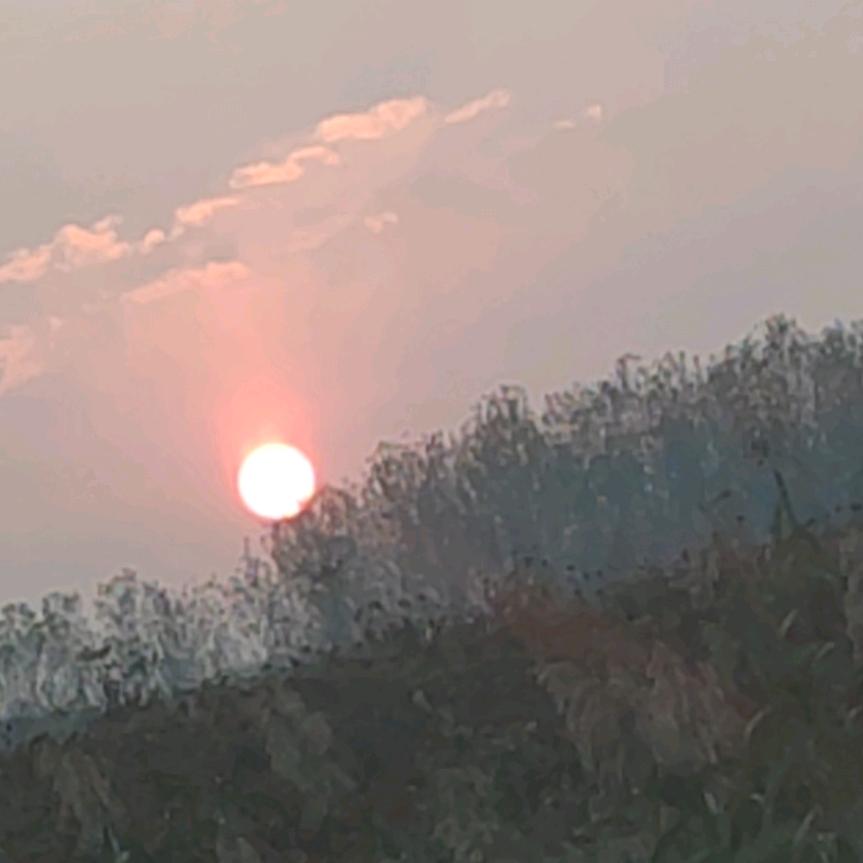 日出头像
