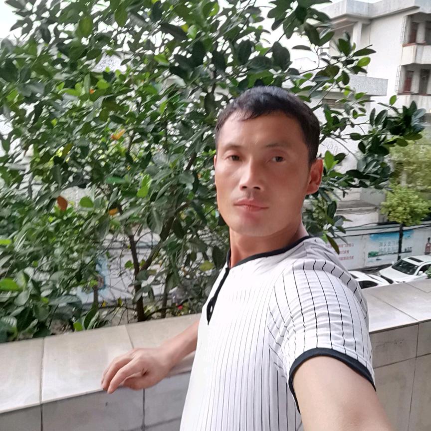 ("▔㉨▔)李想🐖成真（≧㉨≦）