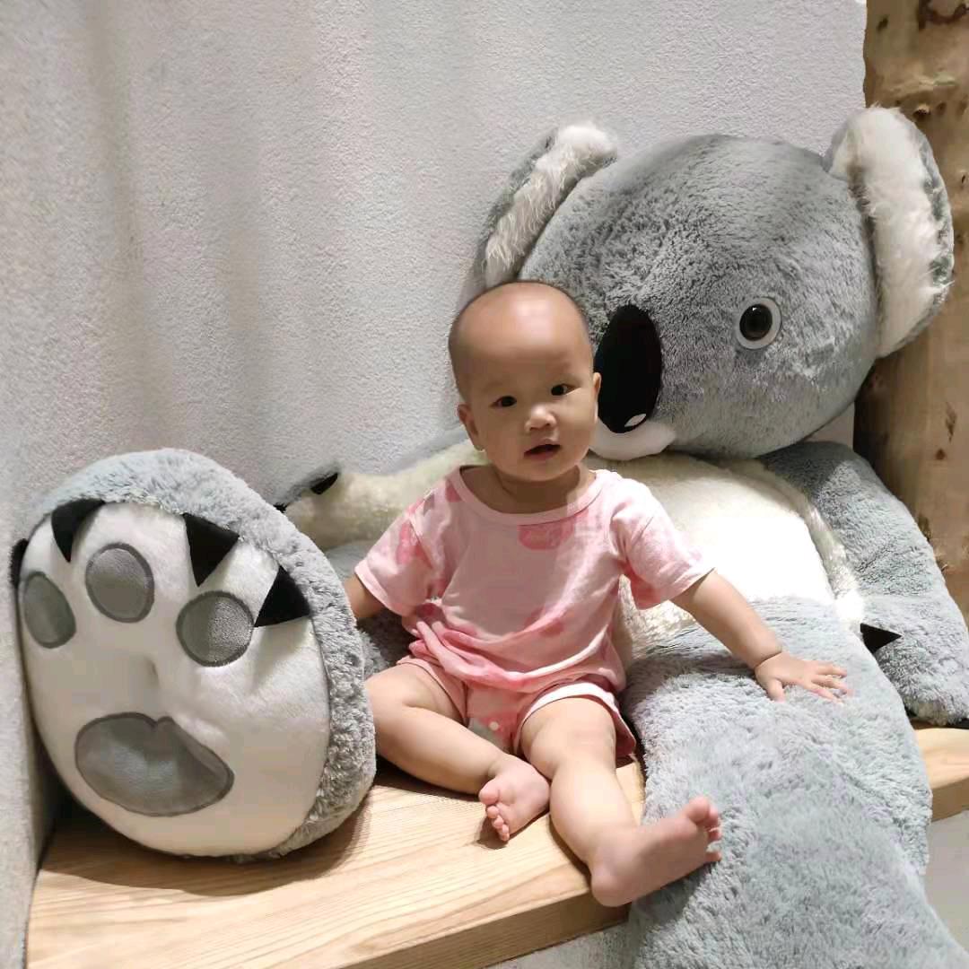 十八子9812846241784