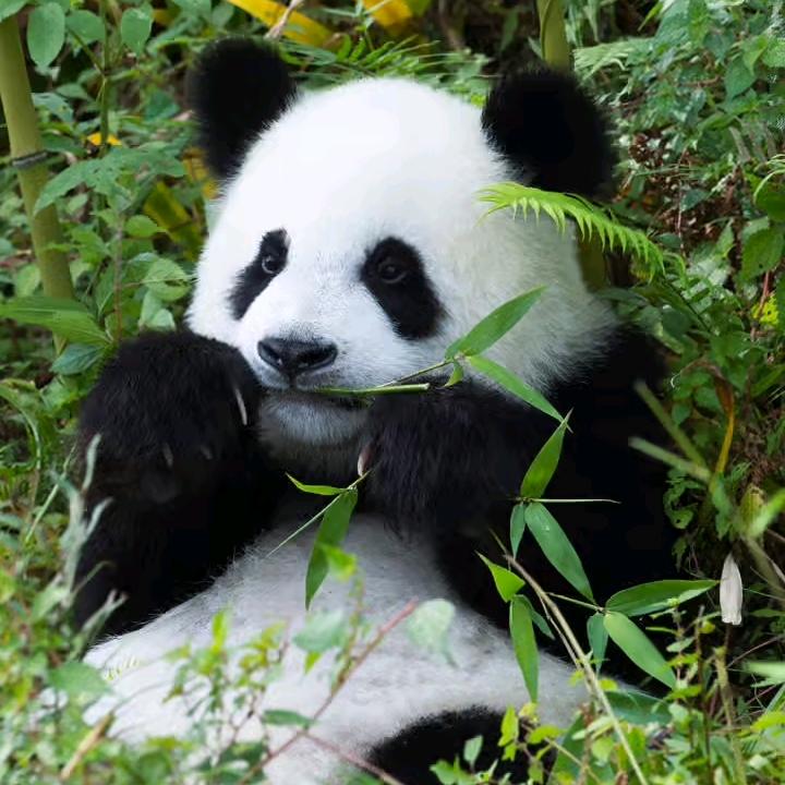 天天开心o(≧v≦)o