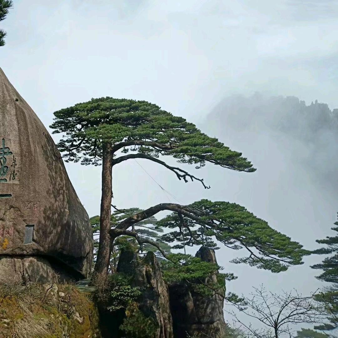 @胖哥-刘笑