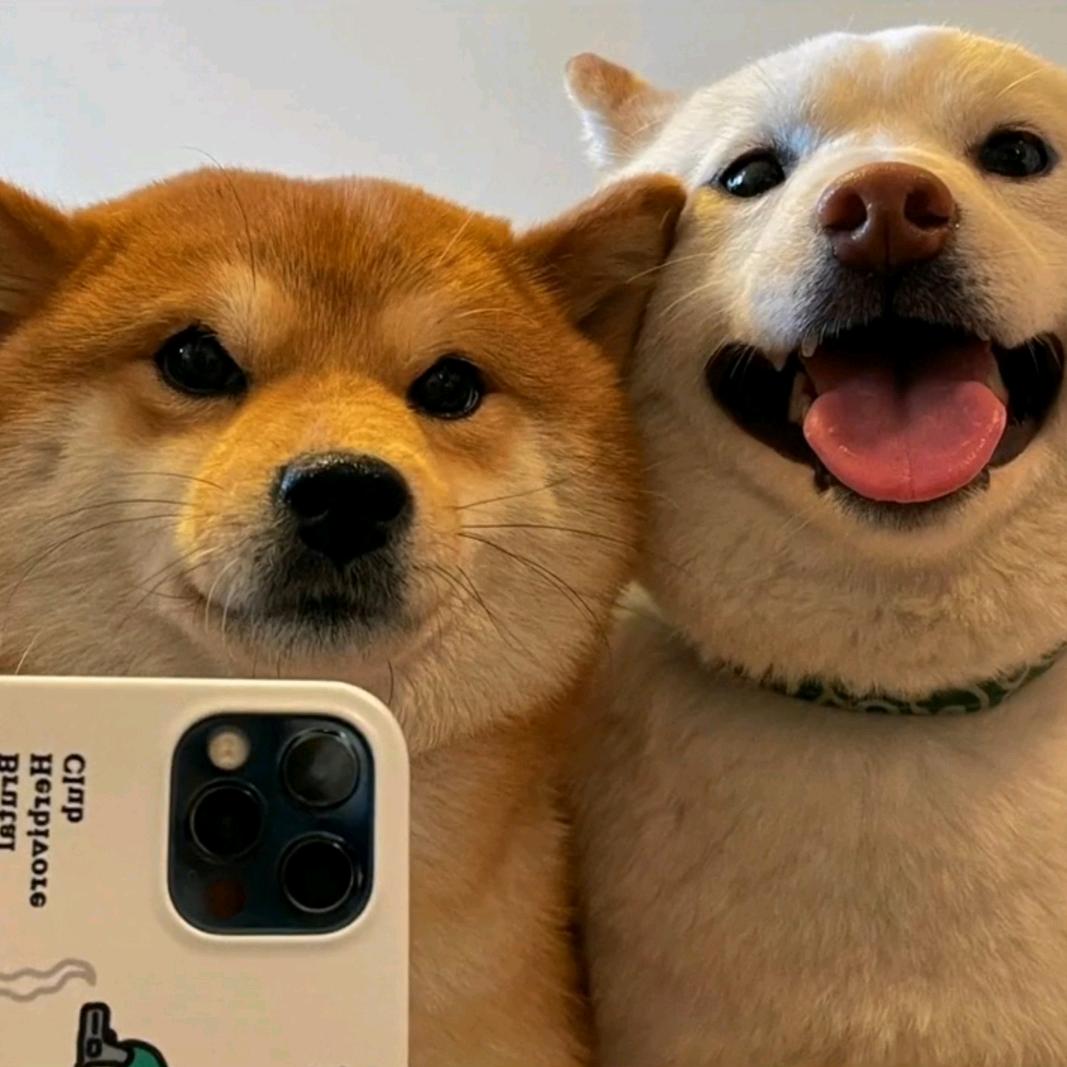 军  哥