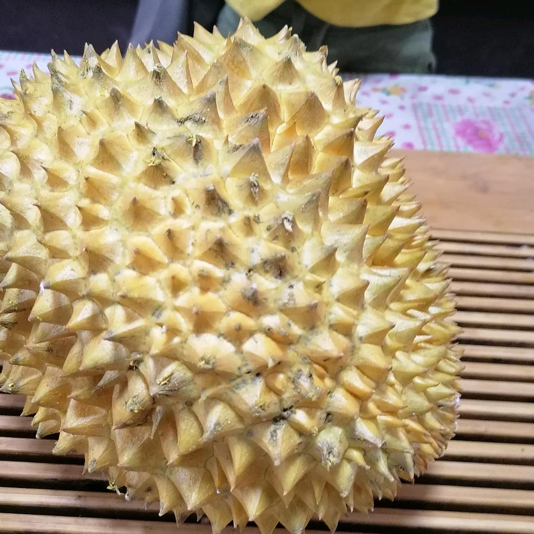 朱事皆顺