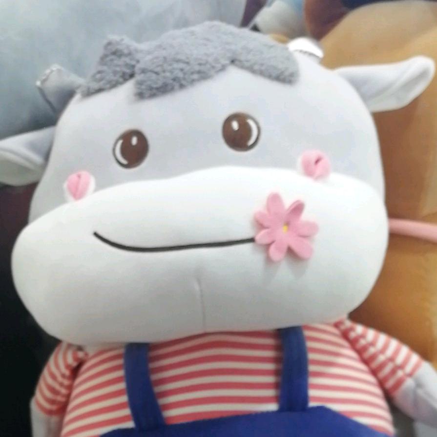 丁丁吃鱼丸
