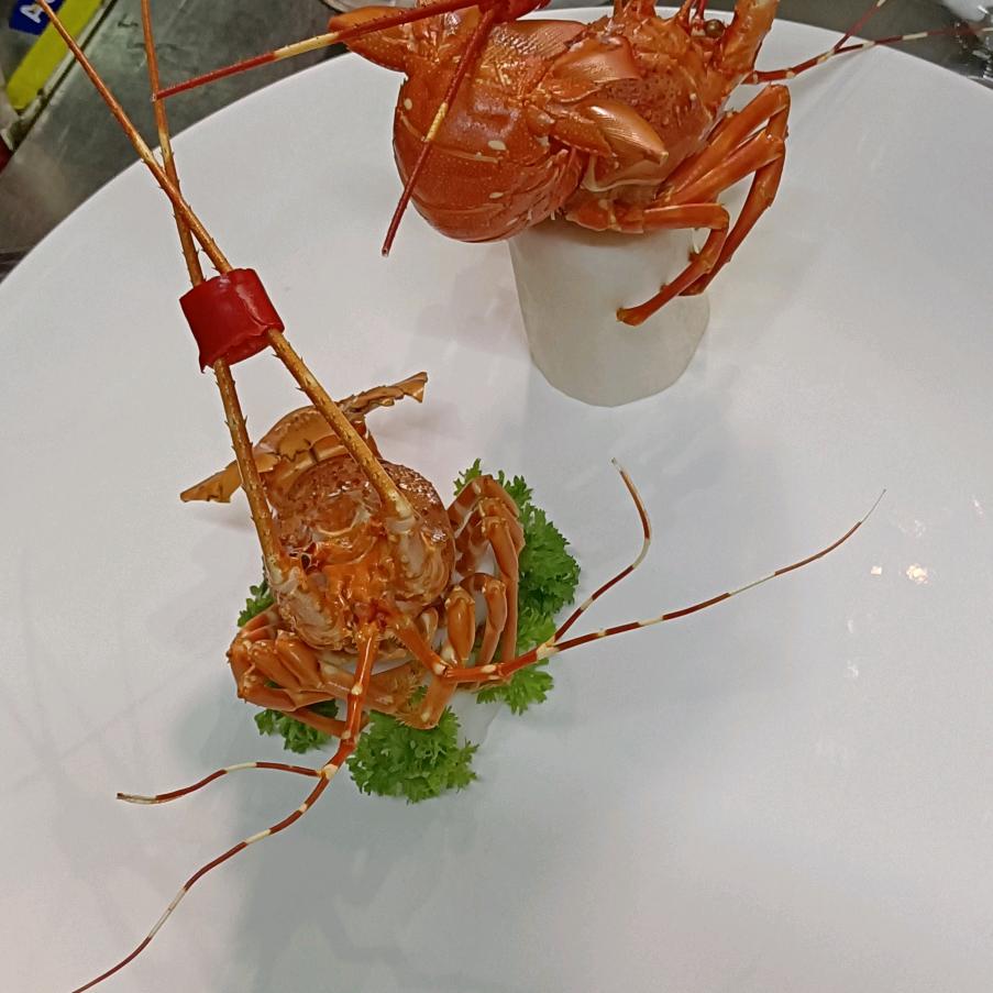 牛年马月，李發，，。。发