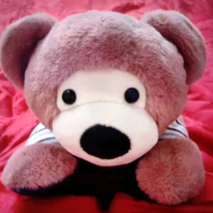 嘟嘟🐷家有两宝