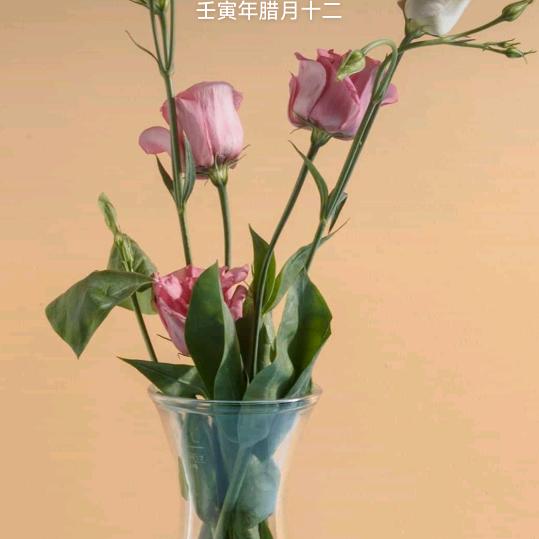 姜