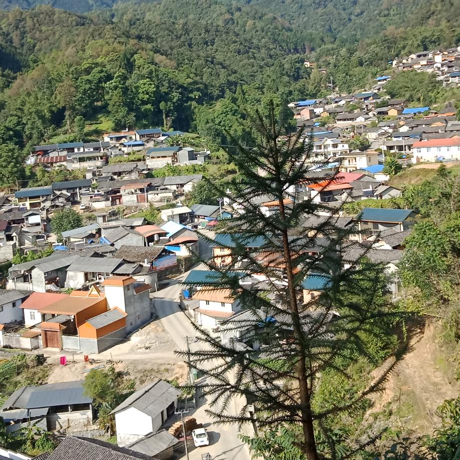 希望明天更好