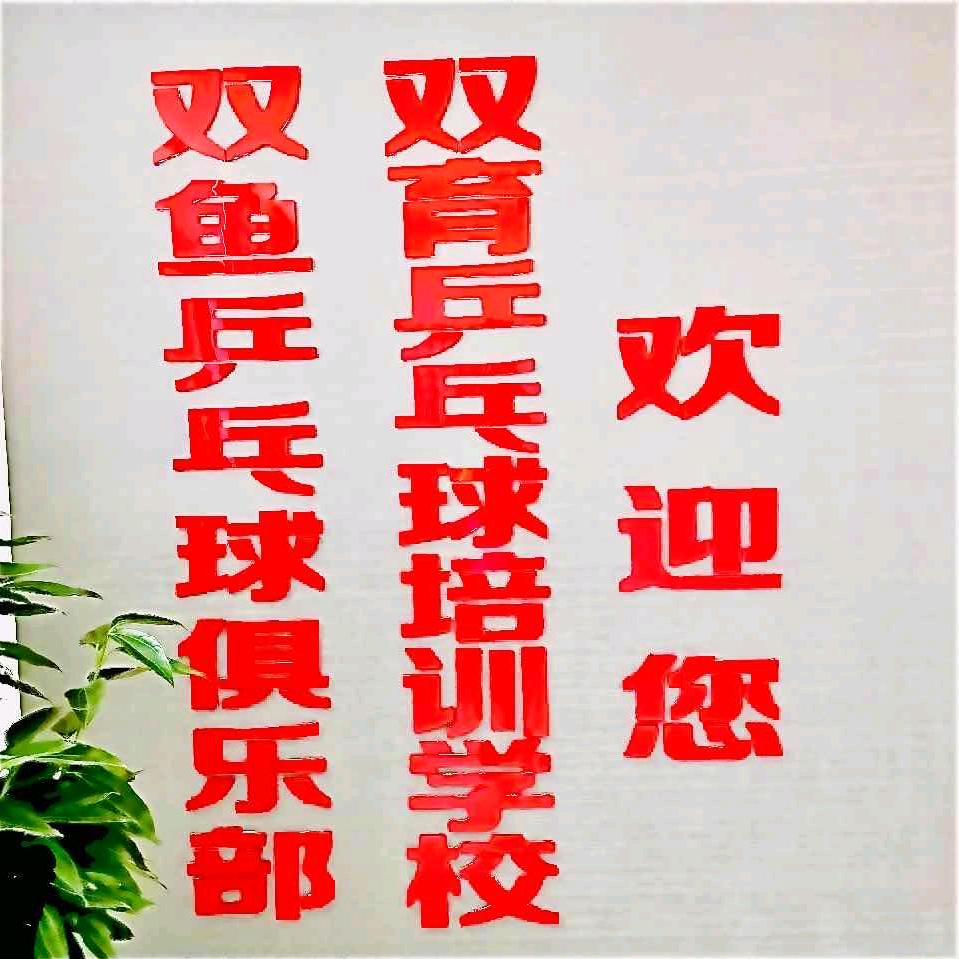 双鱼（育）乒训