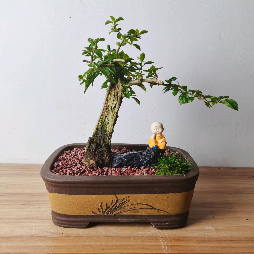上华有间花屋