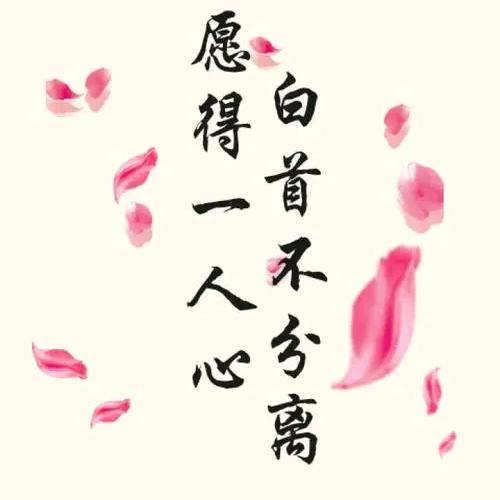 你是我最爱的人