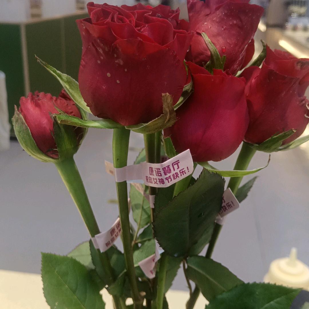 知足常乐，开心就好༊ღ᭄为你ꦿ꯭停刘꧔ꦿ