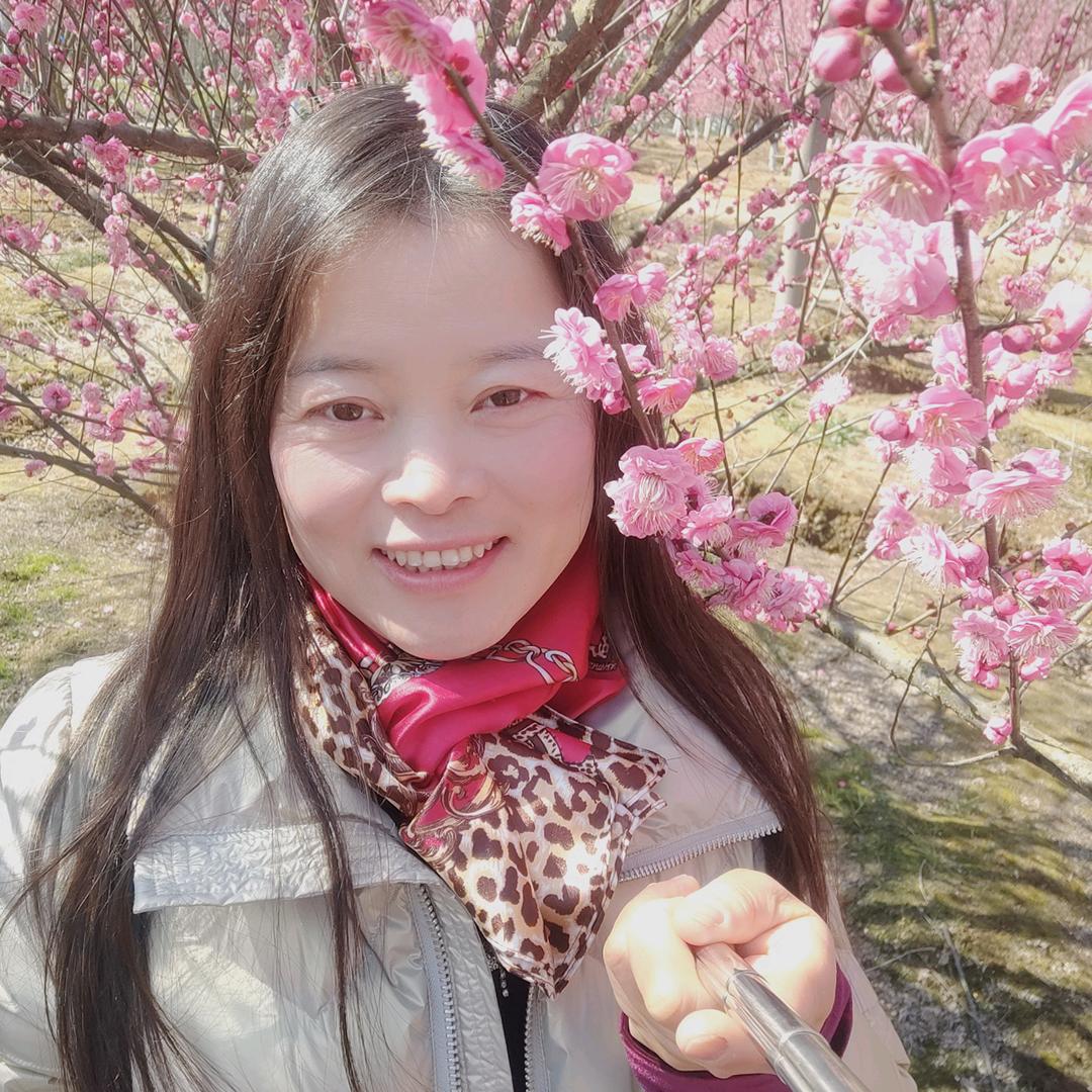 清荷窗帘（超慢跑下午15.00开播）